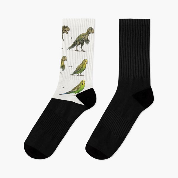 Item preview, From T-Rex to Budgie – Evolution Got Adorable designed and sold by LegademaArt.
