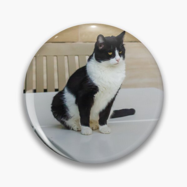 Item preview, Black and White Cat Sitting on Plastic Table Near Chairs Against Tiled Wall, Indoor Pet Portrait designed and sold by Nmallia.