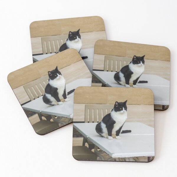 Item preview, Black and White Cat Sitting on Plastic Table Near Chairs Against Tiled Wall, Indoor Pet Portrait designed and sold by Nmallia.