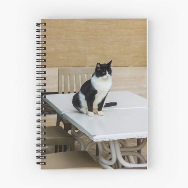 Item preview, Black and White Cat Sitting on Plastic Table Near Chairs Against Tiled Wall, Indoor Pet Portrait designed and sold by Nmallia.