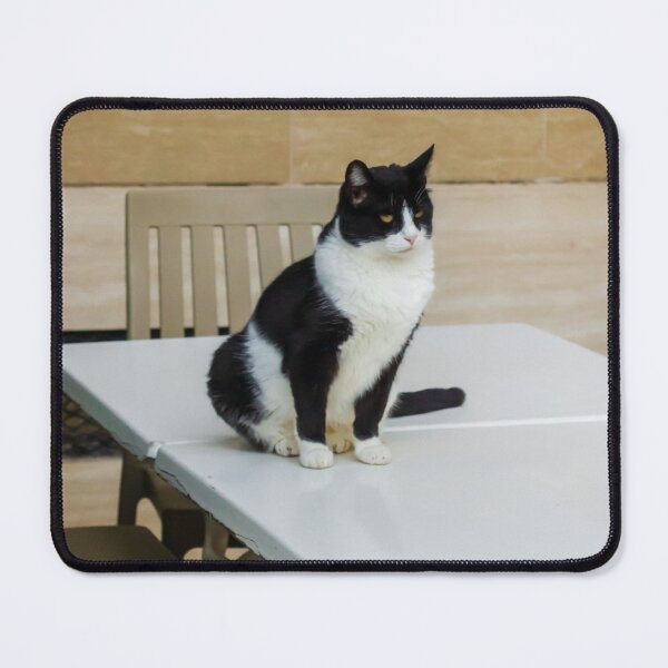 Item preview, Black and White Cat Sitting on Plastic Table Near Chairs Against Tiled Wall, Indoor Pet Portrait designed and sold by Nmallia.