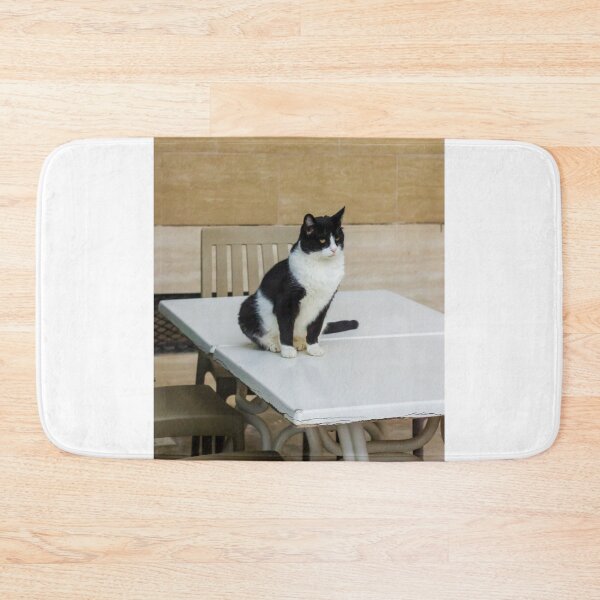 Item preview, Black and White Cat Sitting on Plastic Table Near Chairs Against Tiled Wall, Indoor Pet Portrait designed and sold by Nmallia.