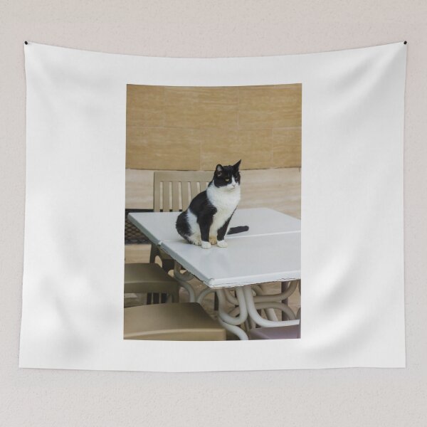 Item preview, Black and White Cat Sitting on Plastic Table Near Chairs Against Tiled Wall, Indoor Pet Portrait designed and sold by Nmallia.