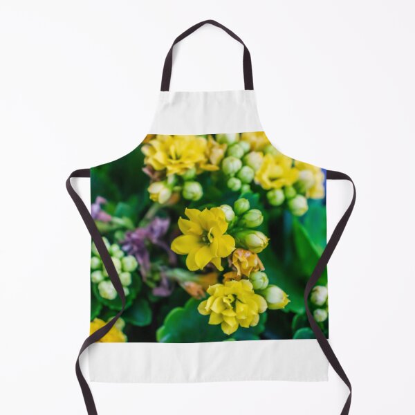 Item preview, Bright Yellow Kalanchoe Flowers Close-Up With Glossy Green Leaves Potted Indoor Blooming Succulent designed and sold by Nmallia.