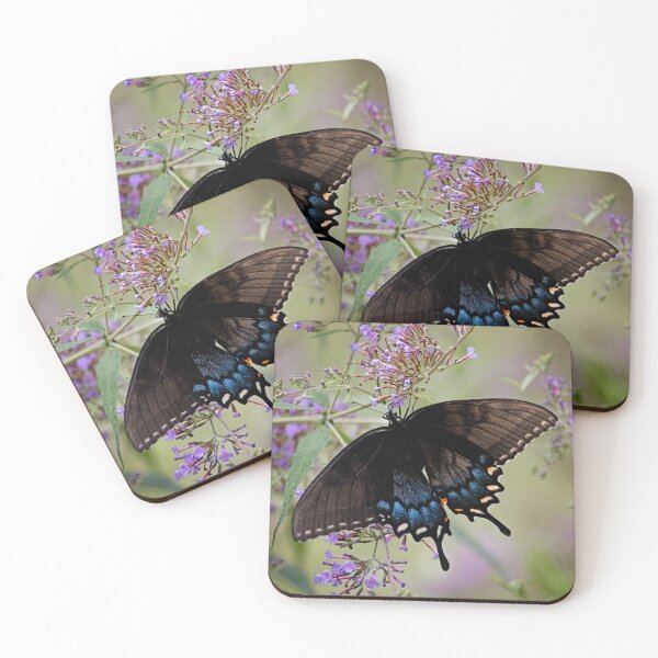 Item preview, Black and blue butterfly, black butterfly, black swallowtail butterfly, butterfly print, butterfly journal designed and sold by bwatkinsphoto.