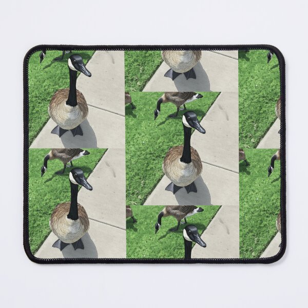 Item preview, Canada Geese Fine Art Print designed and sold by KaleChub.