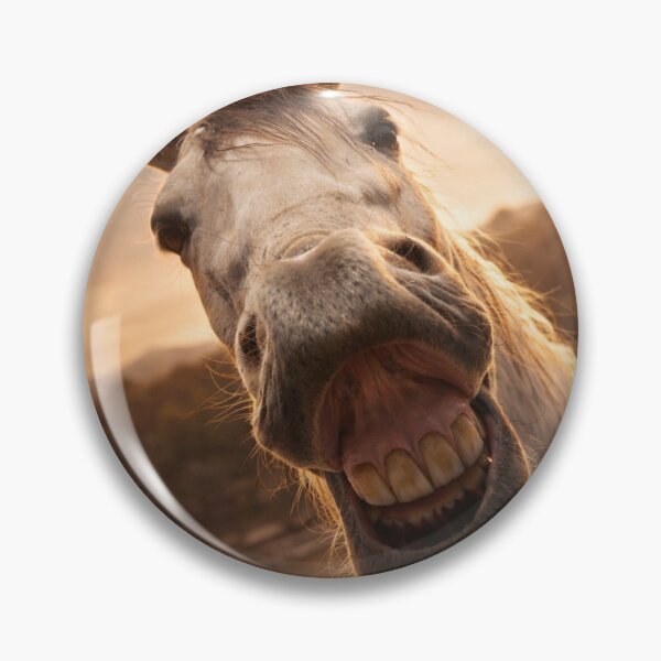 Item preview, Say Hay! designed and sold by Kimberly Palmer.