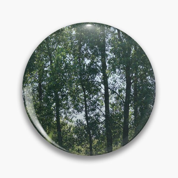 Item preview, a family of aspen trees designed and sold by distracted.