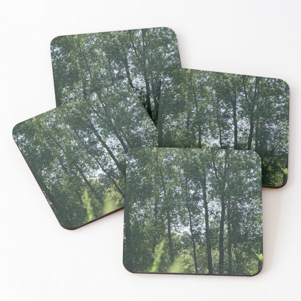 Item preview, a family of aspen trees designed and sold by distracted.