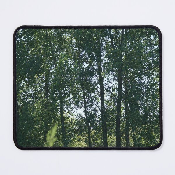 Item preview, a family of aspen trees designed and sold by distracted.