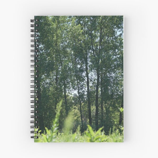 Item preview, a family of aspen trees designed and sold by distracted.