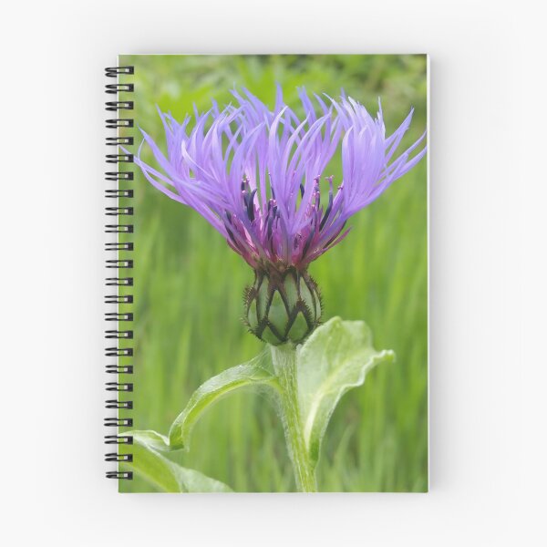 Item preview, Purple Summer Flower designed and sold by CalmnessbyChoice.