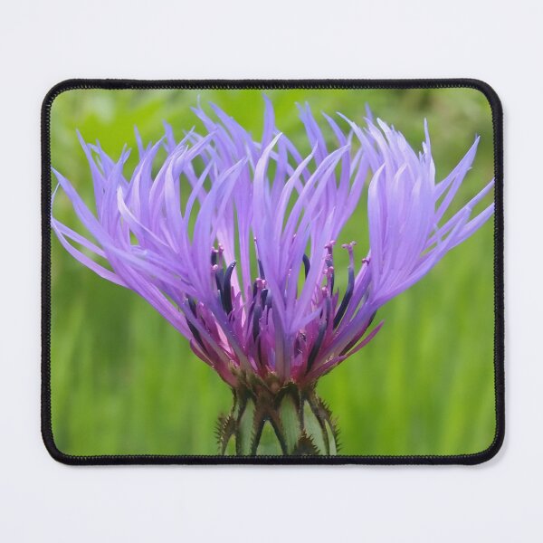 Item preview, Purple Summer Flower designed and sold by CalmnessbyChoice.