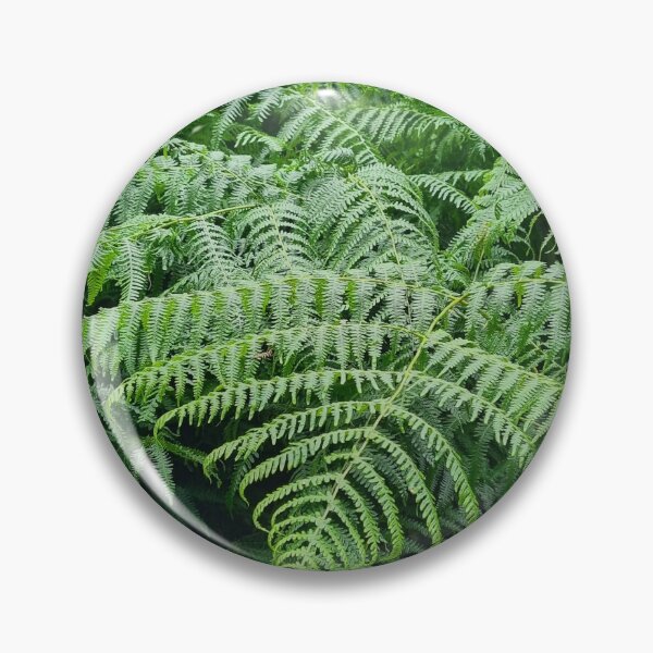 Item preview, Ferns designed and sold by Hopebaxtcreates.