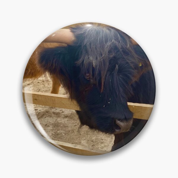 Item preview, Highland cow photo designed and sold by ForestedDesigns.