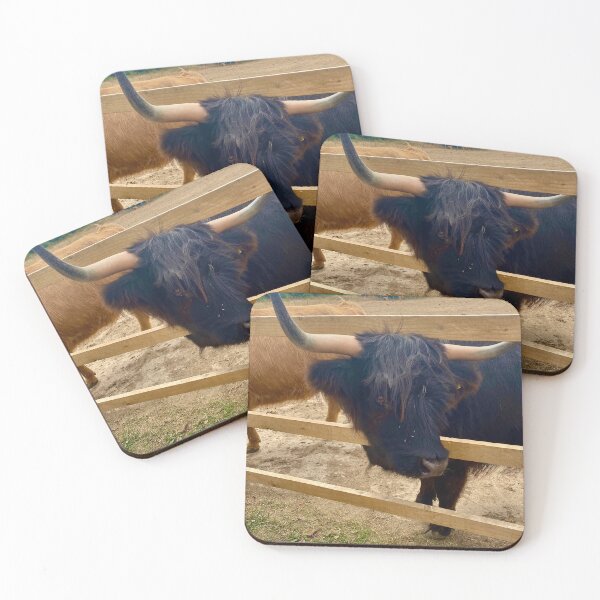 Item preview, Highland cow photo designed and sold by ForestedDesigns.