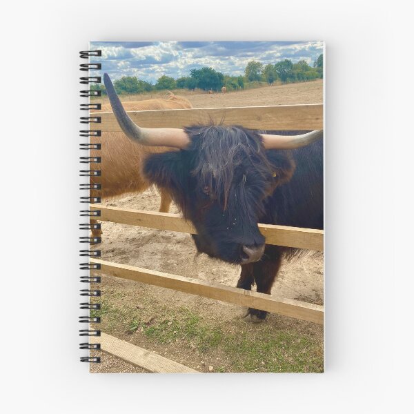 Item preview, Highland cow photo designed and sold by ForestedDesigns.