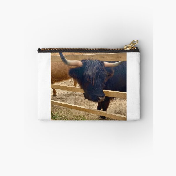 Item preview, Highland cow photo designed and sold by ForestedDesigns.