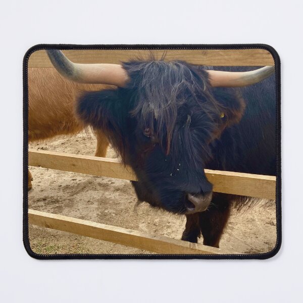 Item preview, Highland cow photo designed and sold by ForestedDesigns.