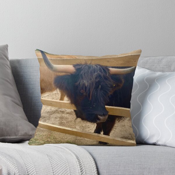 Item preview, Highland cow photo designed and sold by ForestedDesigns.