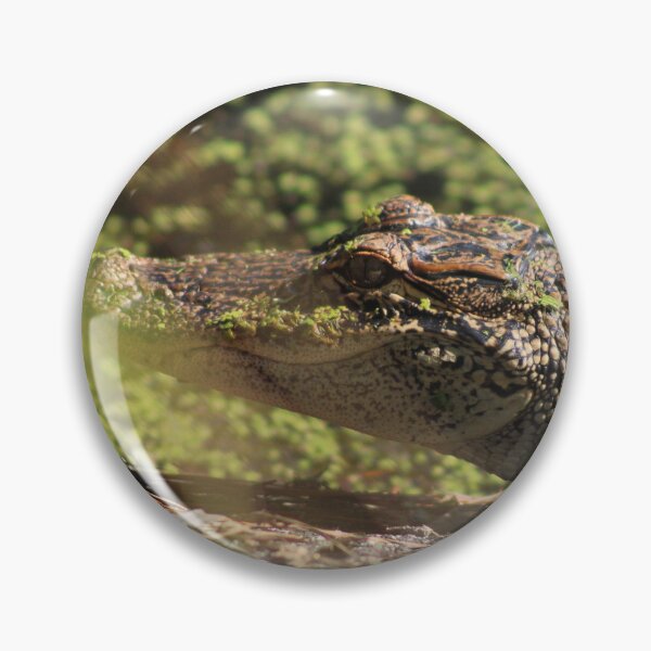 Item preview, See ya later alligator  designed and sold by Birdgirlcreates.
