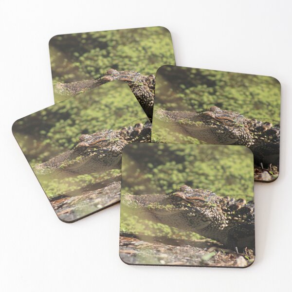 Item preview, See ya later alligator  designed and sold by Birdgirlcreates.