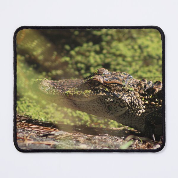 Item preview, See ya later alligator designed and sold by Birdgirlcreates.