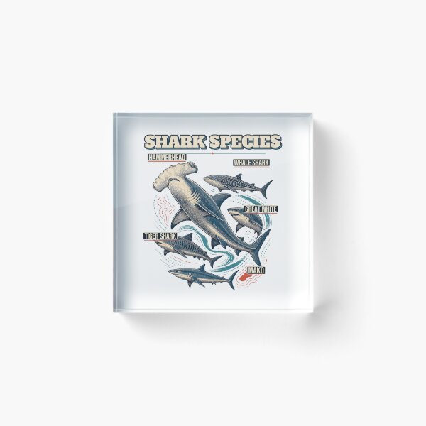 Item preview, Shark Species Shirt Vintage Marine Biology Study designed and sold by Freshloop Studio | Whimsical Vintage Art.