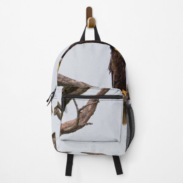 Item preview, Bald Eagle Staring at the Camera designed and sold by South 500 Photography.