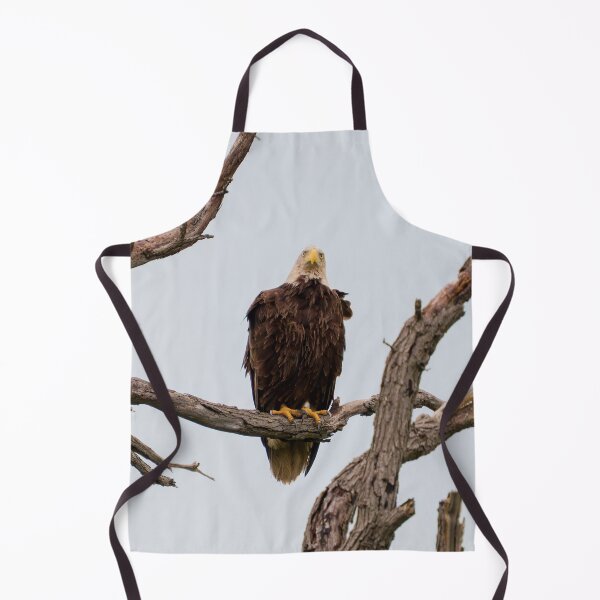 Item preview, Bald Eagle Staring at the Camera designed and sold by South 500 Photography.