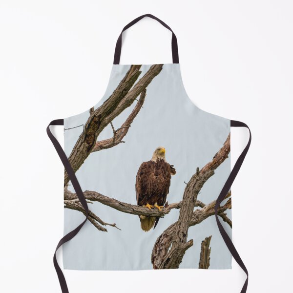 Item preview, Wet Bald Eagle is perched on dead oak tree branch. designed and sold by South 500 Photography.