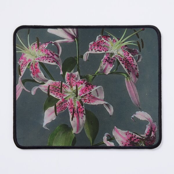 Item preview, Vintage Tropical Floral designed and sold by doodles by claire.