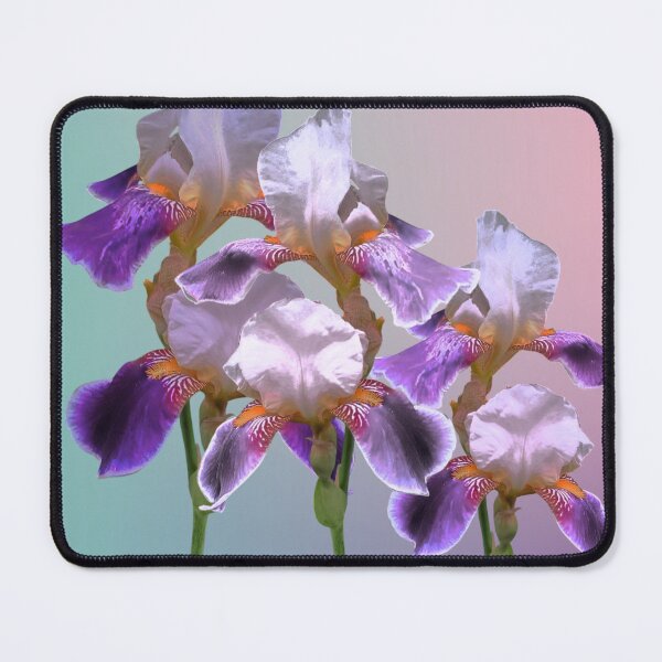 Item preview, Minimalist Vibrant Iris Blossom Photo Collage designed and sold by JurateArt-DK.