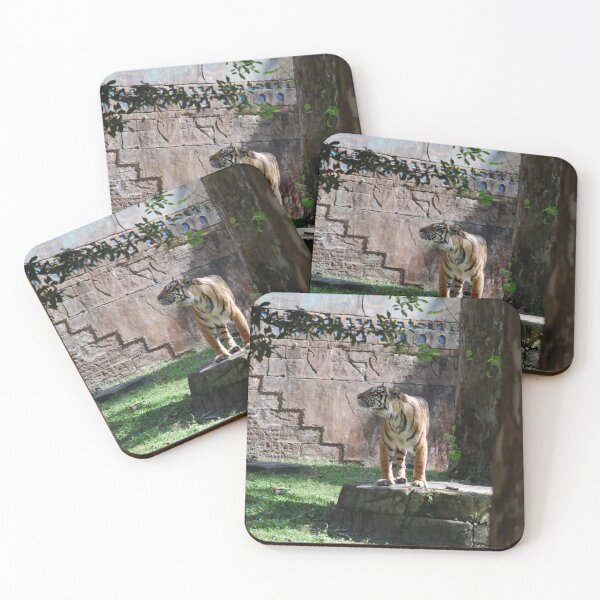 Item preview, Tiger Treats designed and sold by JustCritters.