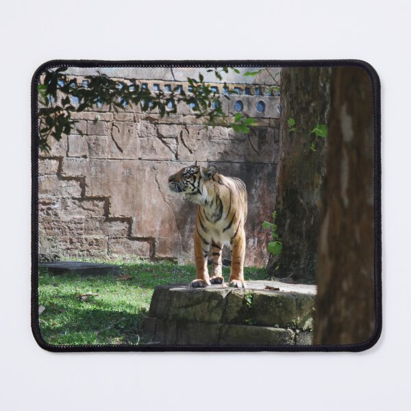 Item preview, Tiger Treats designed and sold by JustCritters.
