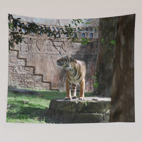 Item preview, Tiger Treats designed and sold by JustCritters.