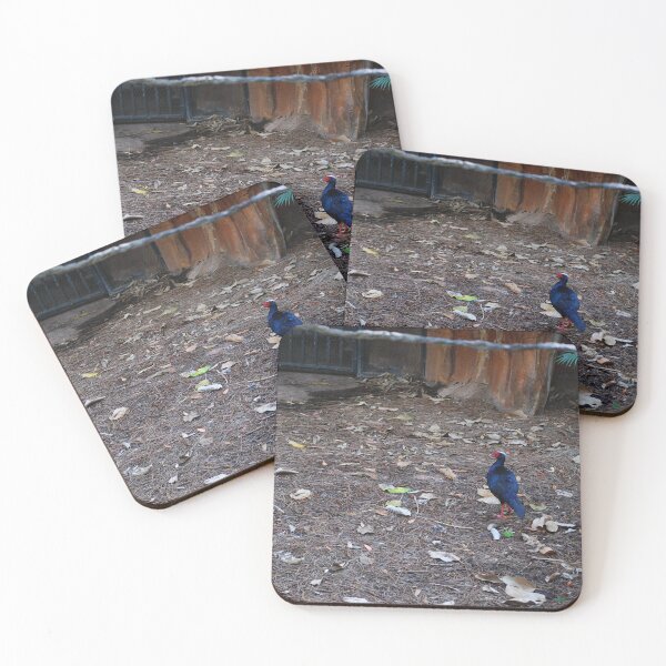 Item preview, Vietnamese Pheasant Pose designed and sold by JustCritters.