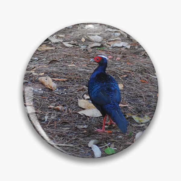 Item preview, Vietnamese Pheasant Pose designed and sold by JustCritters.