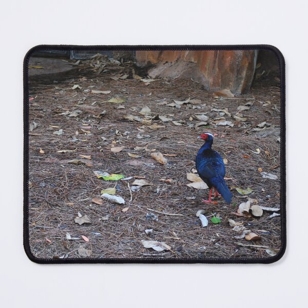 Item preview, Vietnamese Pheasant Pose designed and sold by JustCritters.
