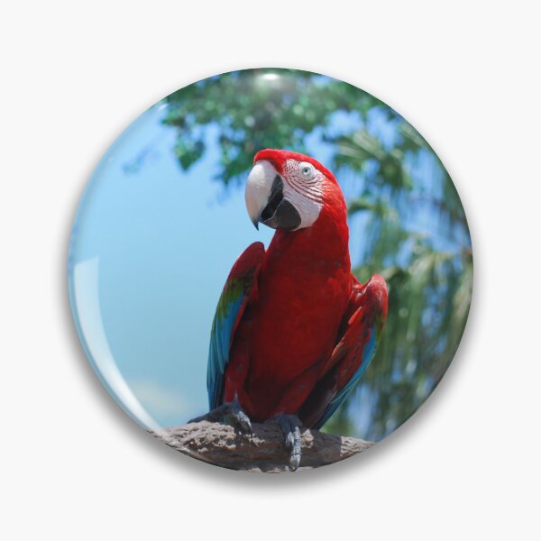 Item preview, Scarlet Macaw designed and sold by JustCritters.