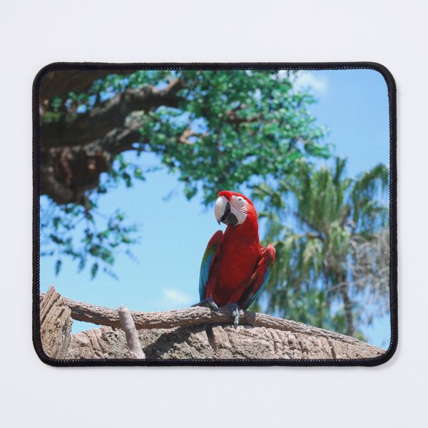 Item preview, Scarlet Macaw designed and sold by JustCritters.