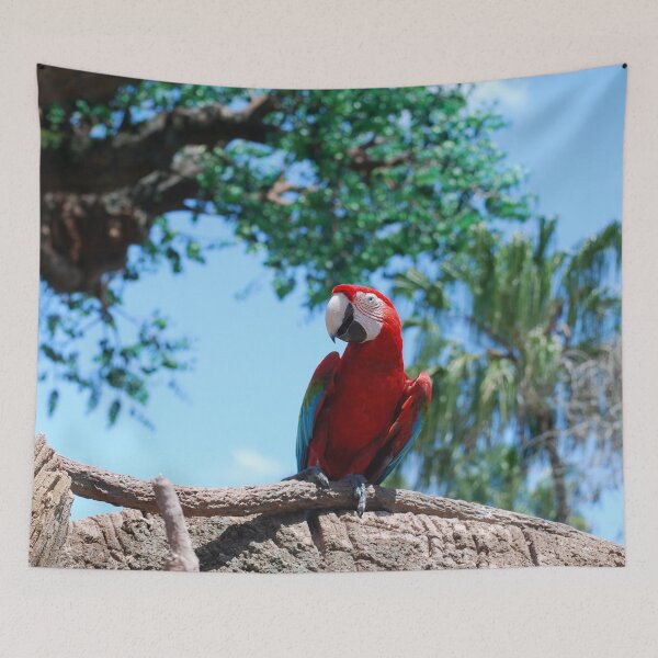 Item preview, Scarlet Macaw designed and sold by JustCritters.