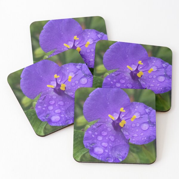 Item preview, Purple Spiderworts in the rain designed and sold by SCTBUFFALOPHOTO.