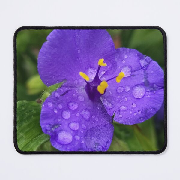 Item preview, Purple Spiderworts in the rain designed and sold by SCTBUFFALOPHOTO.