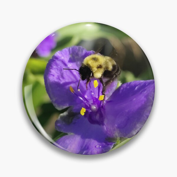 Item preview, Best Bee Day designed and sold by SCTBUFFALOPHOTO.