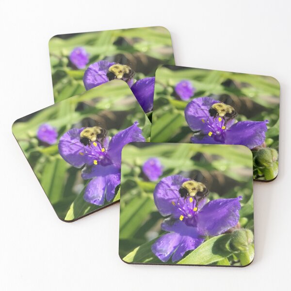 Item preview, Best Bee Day designed and sold by SCTBUFFALOPHOTO.