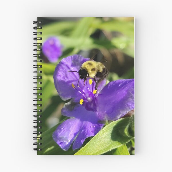 Item preview, Best Bee Day designed and sold by SCTBUFFALOPHOTO.