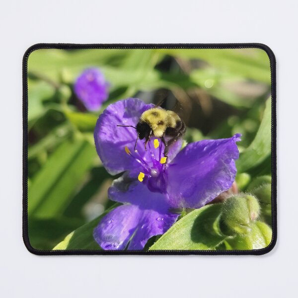 Item preview, Best Bee Day designed and sold by SCTBUFFALOPHOTO.