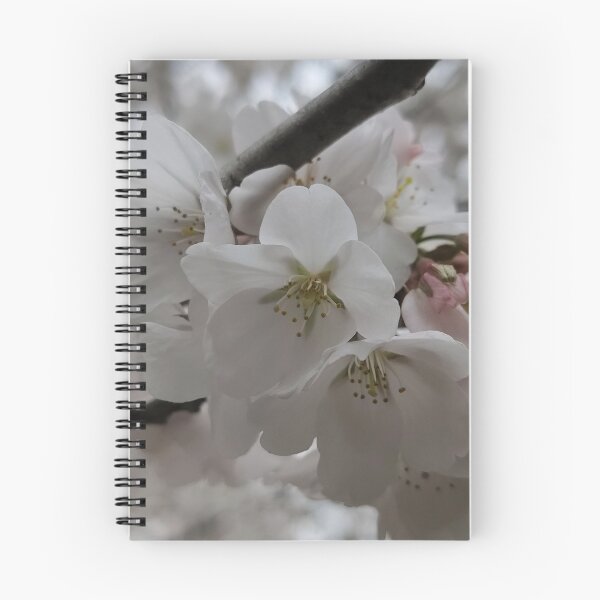Item preview, A Beautiful Blossom Life designed and sold by SCTBUFFALOPHOTO.