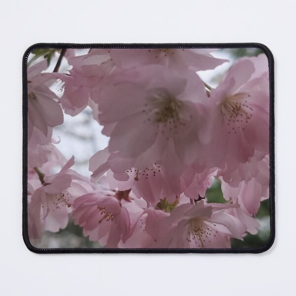 Item preview, A Choir of Cherry Blossoms designed and sold by SCTBUFFALOPHOTO.